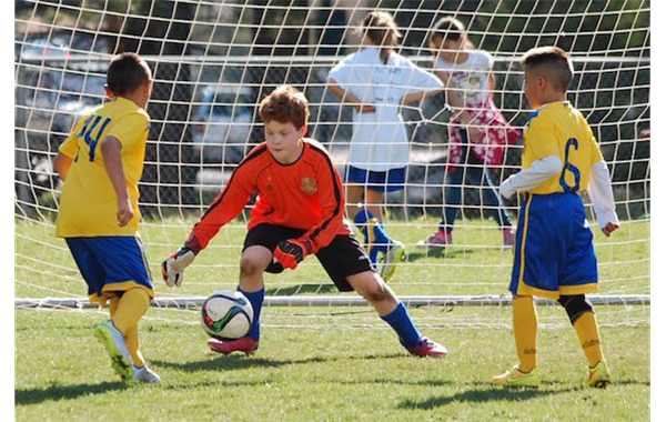 South Tahoe Futbol Club